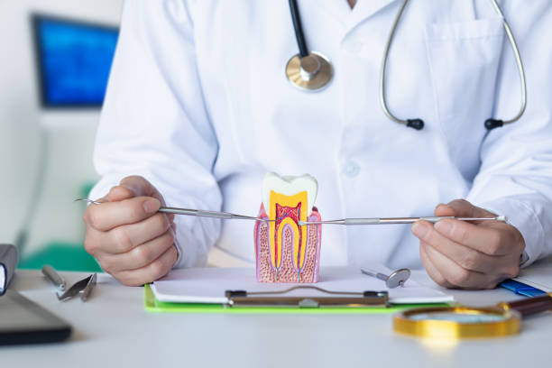 Best Emergency Dental Care for Sports Injuries in Lake Barcroft, VA